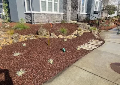 Landscape Services